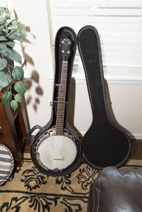 Alvarez 5 string banjo