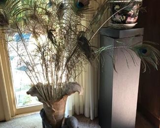 Vase w/ Peacock Feathers