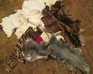 Assorted Fur Pelts