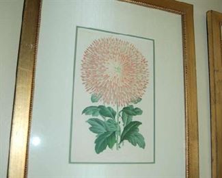 Floral botanicals