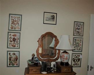 Six framed seashell prints
