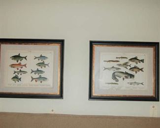 Framed chromographs of fish