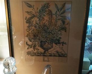 Pair of Colonial Williamsburg botanical prints