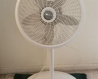 Extra large fan