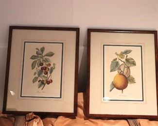 Pair of Fruit Prints on the Vine