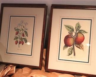 Fruit Prints on the Vine