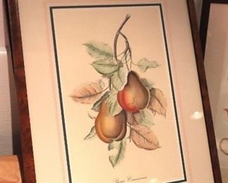 Fruit Prints on the Vine