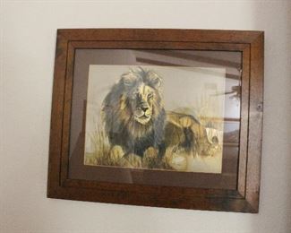 lion picture