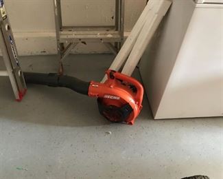 Echo Blower