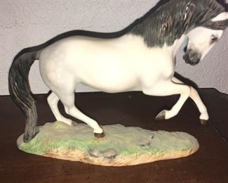 Andalusian horse