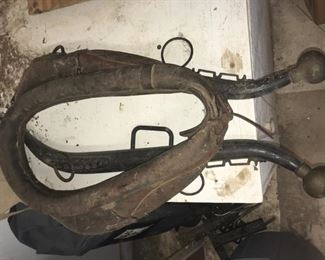 vintage horse collar