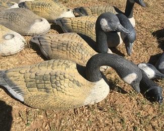 canadian geese decoys