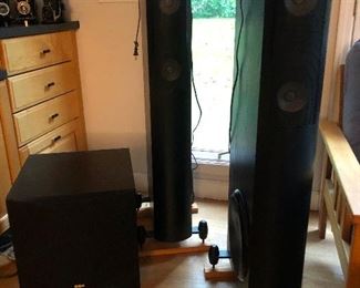Lookout these giant speakers! They have little legs and will follow you out the door