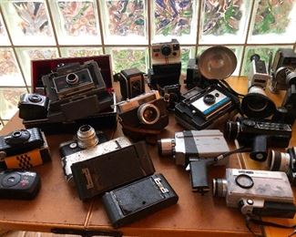 Large kid's table of old cameras bloated from eating all the potato salad