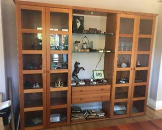 modern bookshelves of amazement