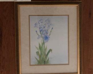 ‘Norma’s Iris’ 2004 By Local Artist John W. Boozer