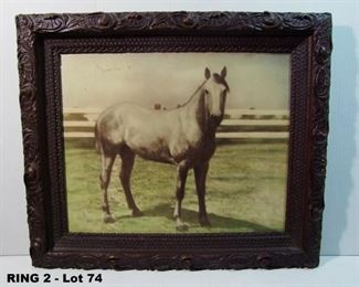 C/1900 Lg. photograph of a Dappled Mare, antique frame, 25 1/2x22"h.
