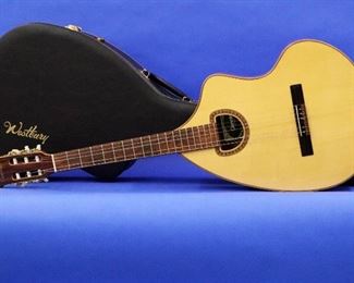 Giannini Model AWKN6 Rosewood & Spruce Guitar