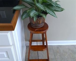 Ladder style plant stand