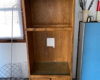 TALL LIGHTED CABINET