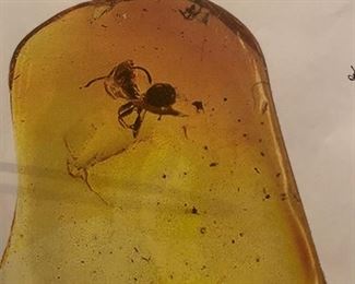 AMBER
