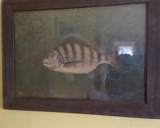 2 fish art