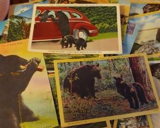 Vintage Gatlinburg Tennessee postcards