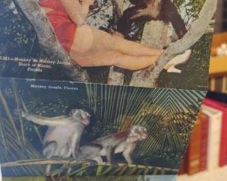 Huge selection of vintage postcards