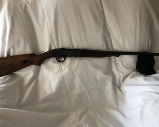 Remington Model 24-22