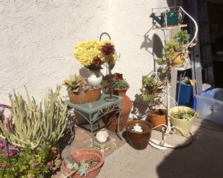 Outdoor plant rack and tables