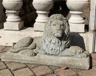 CEMENT LION