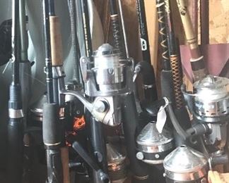 Various fishing rods