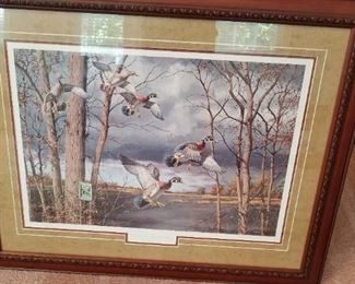Ducks Unlimted Art Prints