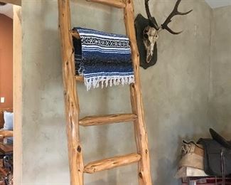 Large wood ladder 