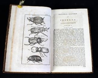 The Natural History Of Insects Copper Plate Engravings