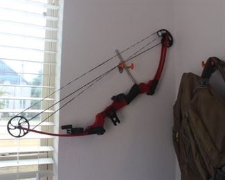 Genesis compound bow