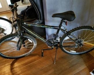 mountain bike, above average