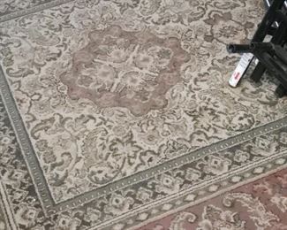 Many Area Rugs - Various Sizes $25-$100