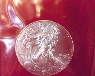 2015 SILVER EAGLE