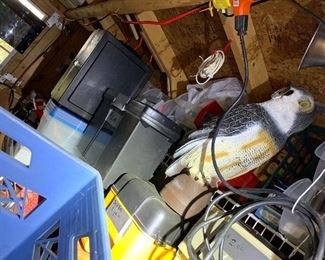 Inside shed - shelves loaded