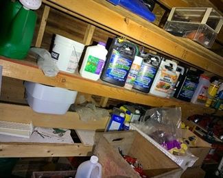 Inside shed - shelves loaded