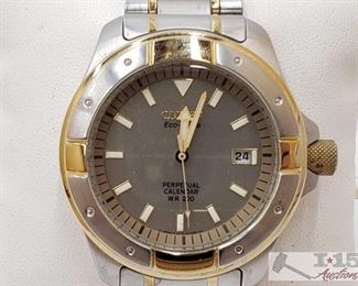 251: Citizen Wristwatch
Contains one Citizen Wristwatch 
J4 3 of 4