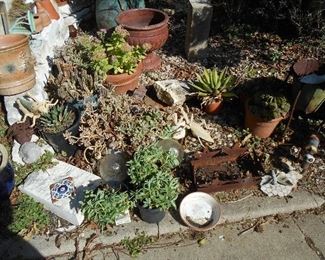 Cactus, yard art & MORE