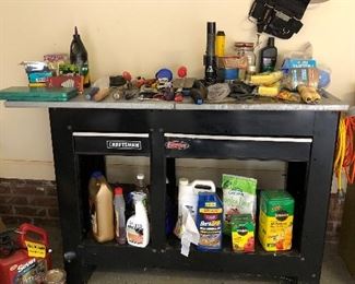 Craftsman Work Bench