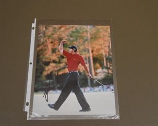 Tiger Woods signed photo with authenticity. 