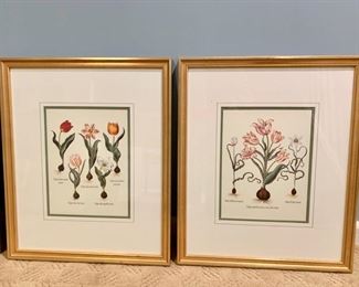 78. Pair of Botanicals Prints (20" x 24")