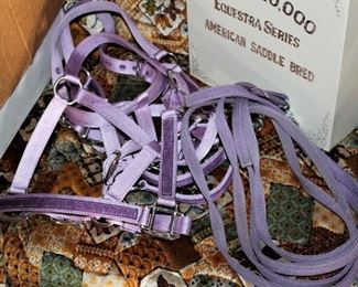 Halters, Lead ropes and Headstalls