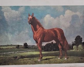 Man O War Lithograph Signed