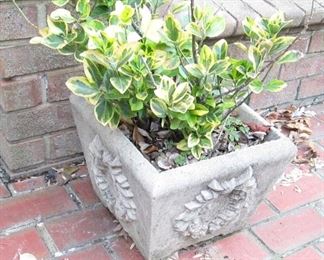 Concrete Planters