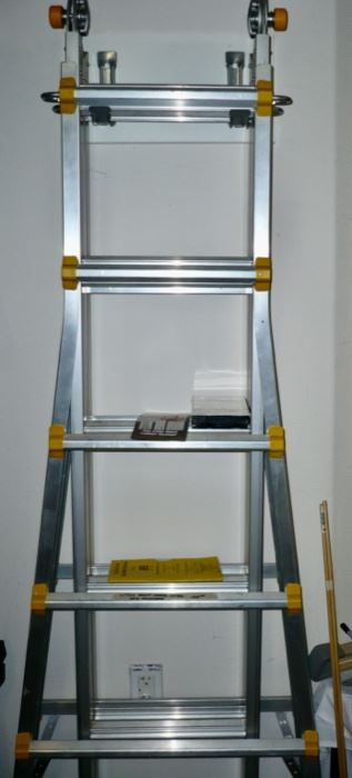 Giant Little Ladder System (2 years old)